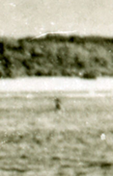 A 1937 photo taken by the British off Nikumaroro that shows a mysterious object in the center, possibly a part of Earhart's plane. 