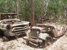 Rusty wrecks in Tikal