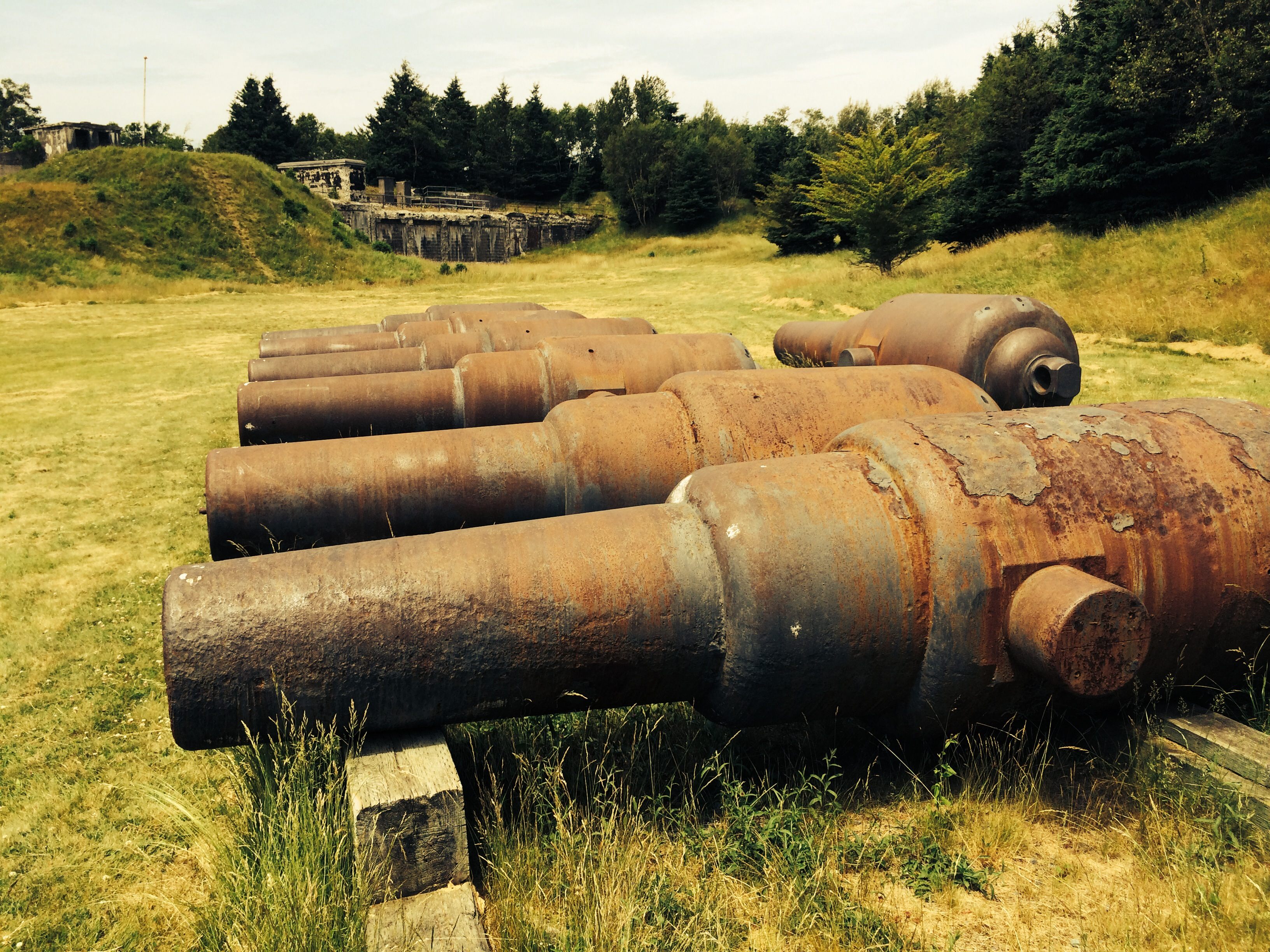 Rifled cannons.
