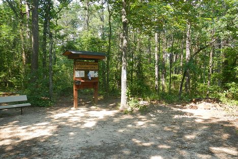 Driskill Mountain Summit