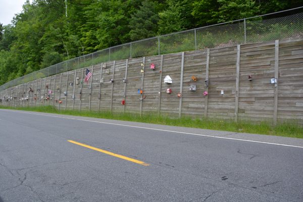 Roadside birdhouses.