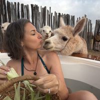 Profile image for Touristish