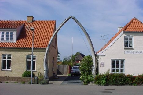 Hals Whale Jaws 