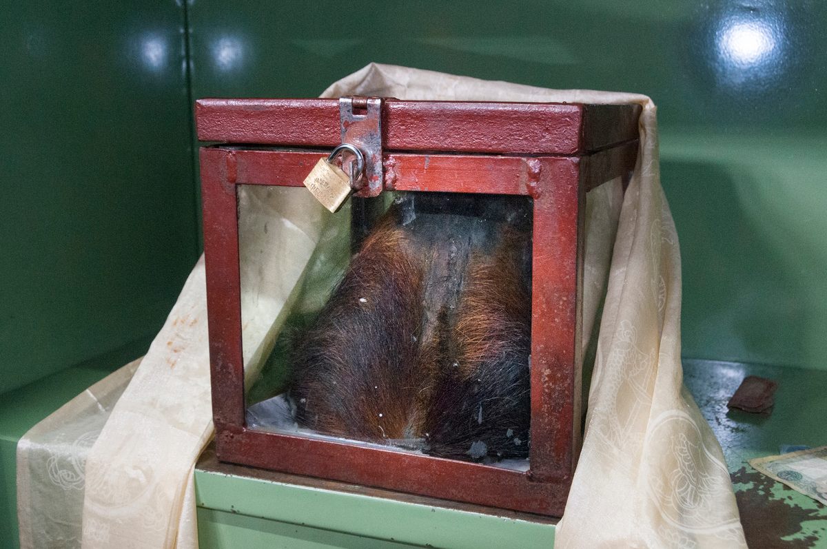 A small Nepalese monastery claims to have a 300-year-old yeti skull that took a world tour in the early 20th-century so zoologists and other experts could take a look. They eventually concluded the skull to be a fake.