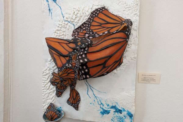 These butterfly wings appear to burst from the wall.