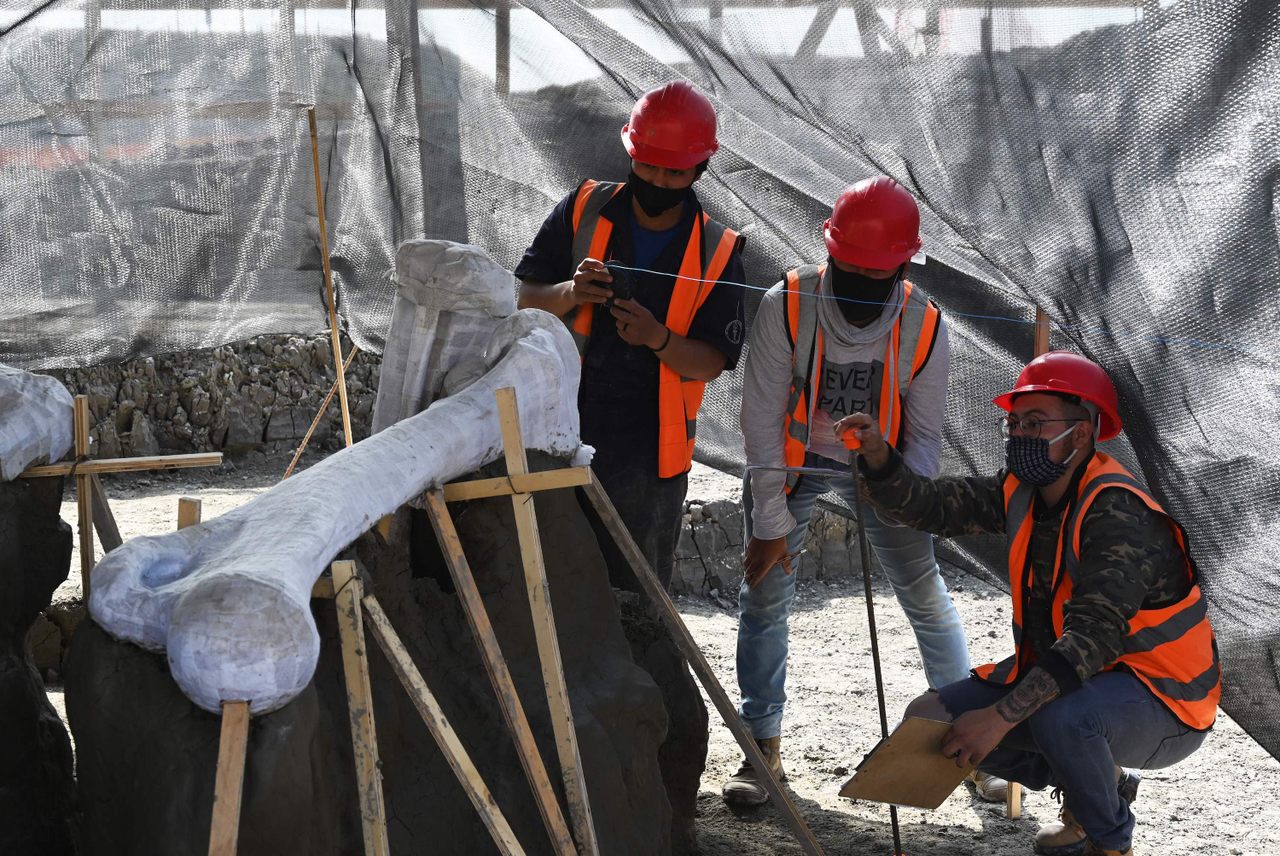 Two thousand mammoth bones have turned up at the site of a new Mexico City airport. Where will scientists put them all?