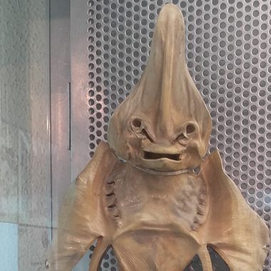 Anthropomorphic fetish simulated by a manta ray fish.