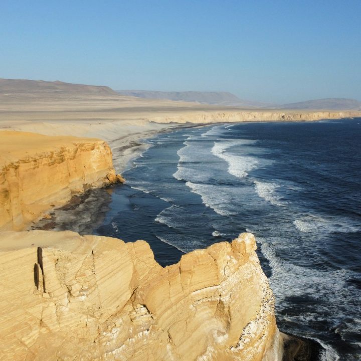 Paracas Reserve