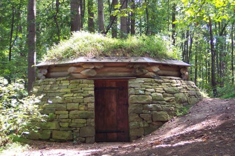 Cloud Chamber for the Trees and Sky