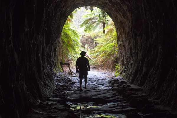 Newnes Glow Worm Tunnel
