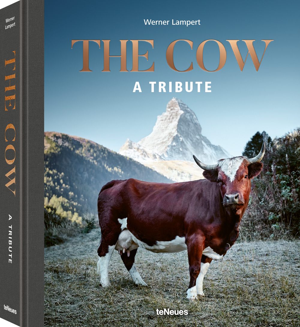 The book itself.