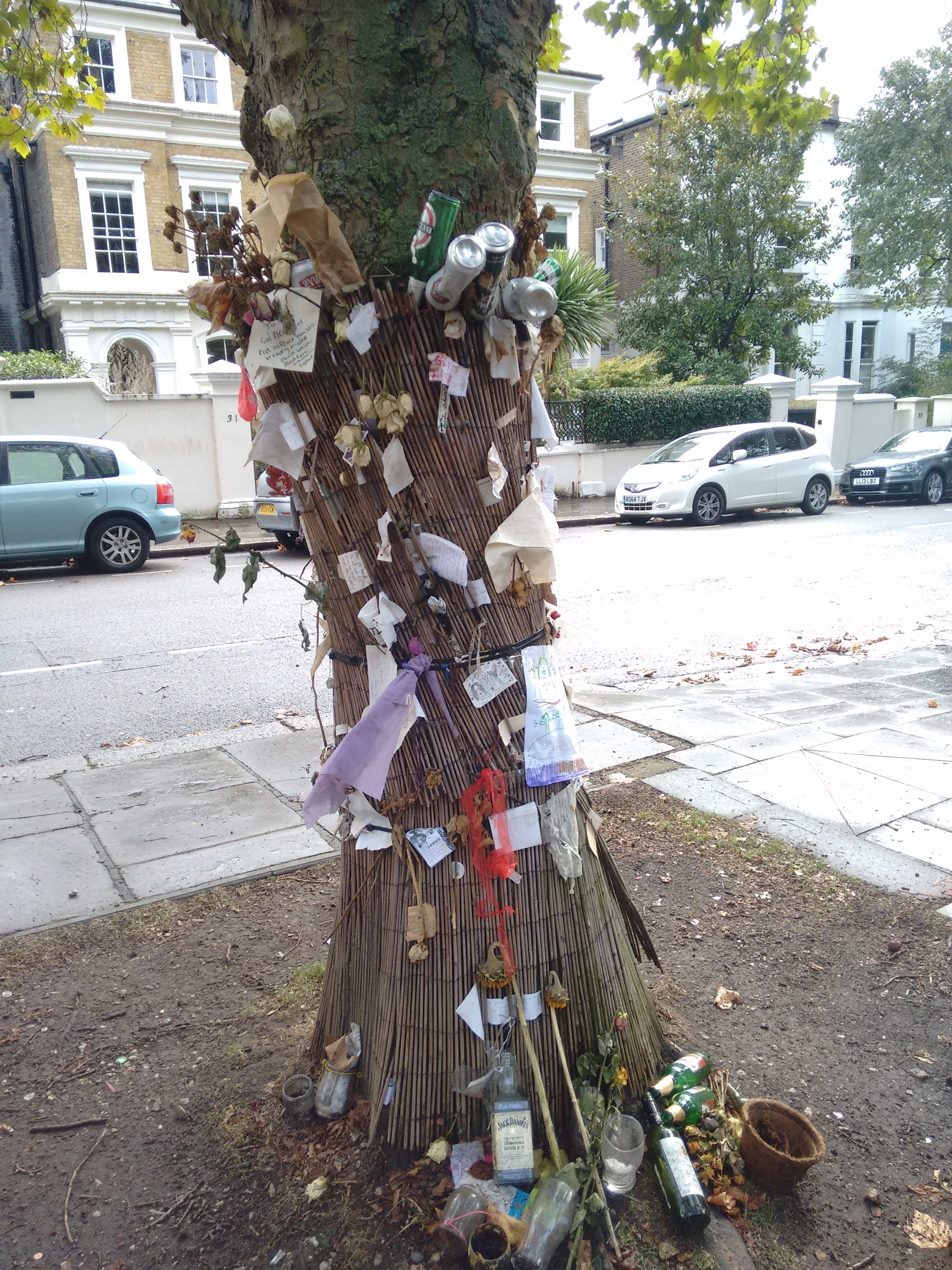 The trees opposite Amy Winehouse's old apartment, photographed in the summer of 2016.