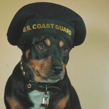 Sinbad's Coast Guard portrait