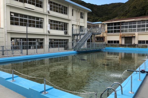 Not a regular school pool…