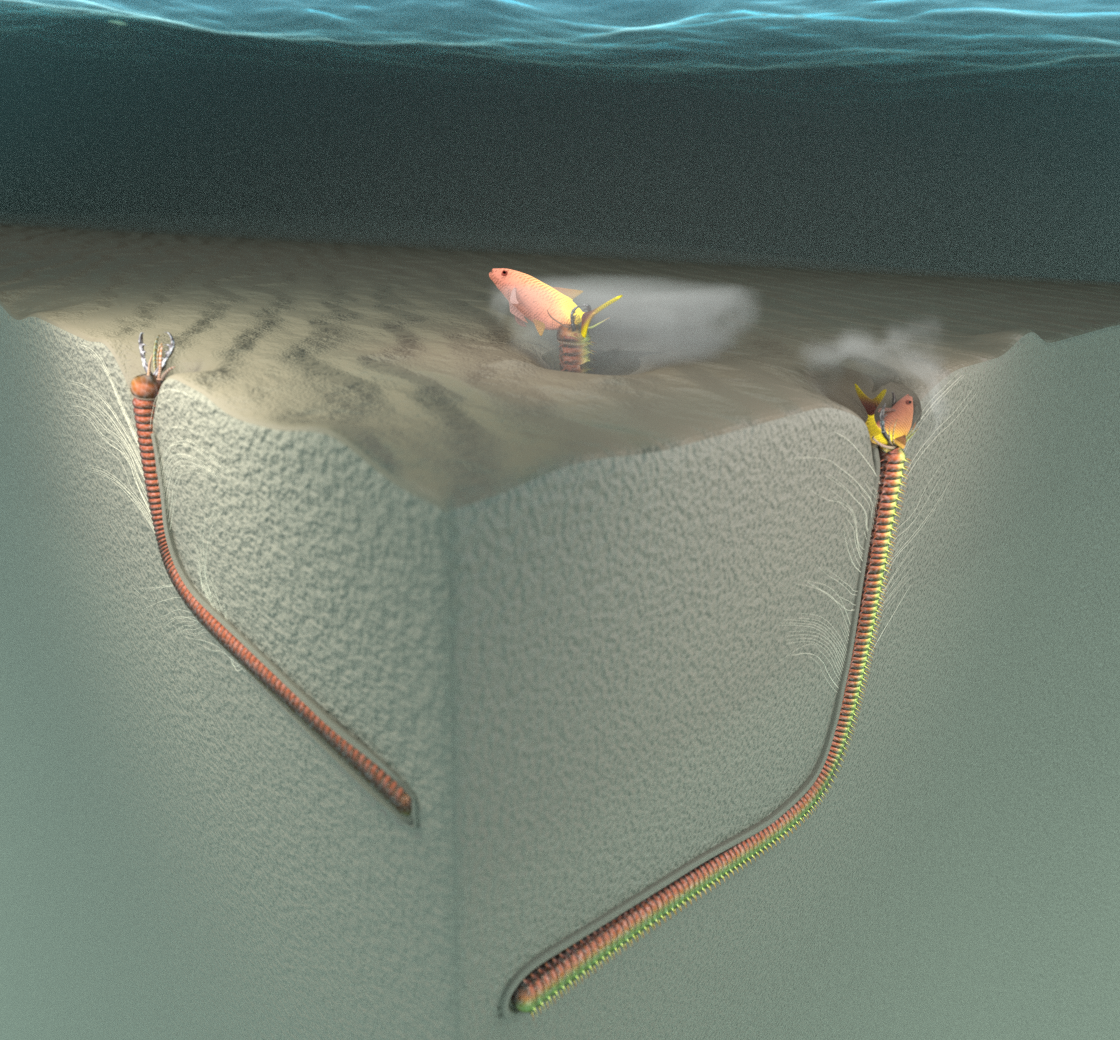 Worm Exploration Enter the Lair of an Enormous, Ancient, Predatory Worm