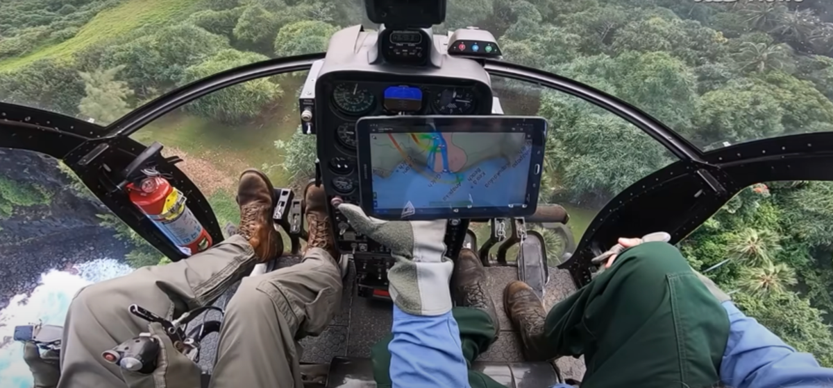 On the east side of Maui, a massive 175-acre infestation in nearly impassable terrain required a creative approach: helicopters dropping gooey "ant birth control." After three years of aerial treatments, only a few little fire ant hotspots remain.