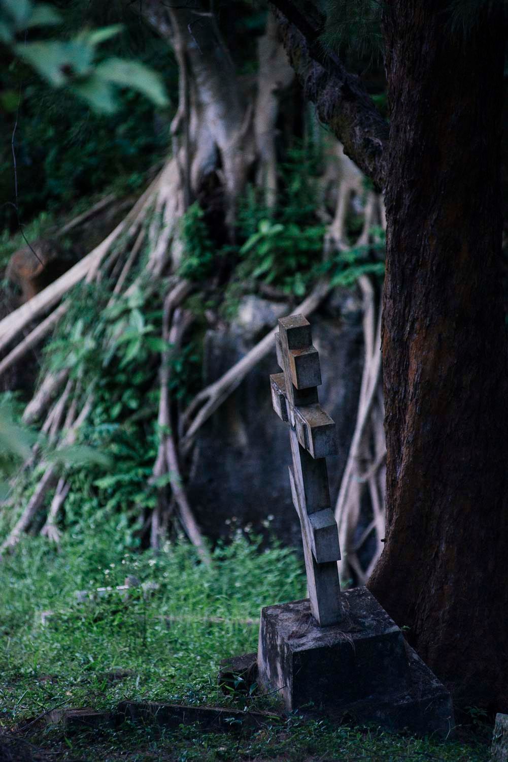 Encroaching roots threaten a Russian Orthodox tombstone in Hong Kong Cemetery, the resting place of the former colony's Protestant dead.