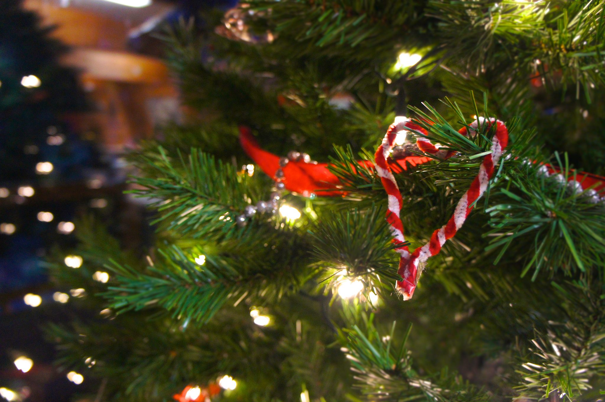 A Christmas tree.