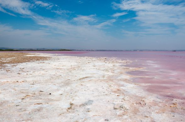 These Salt Flats in Puerto Rico Are Cotton-Candy Pink