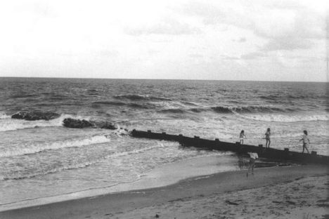 Pawleys Island, in gray.