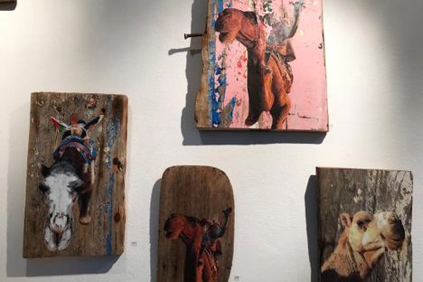 Temporary exhibition.