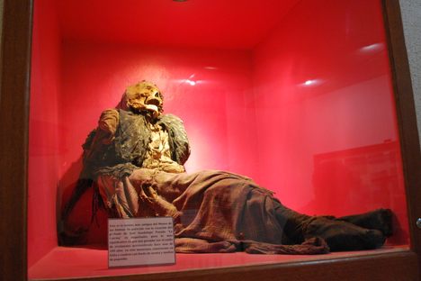 The 19th-century mummified remains of an unknown woman. 