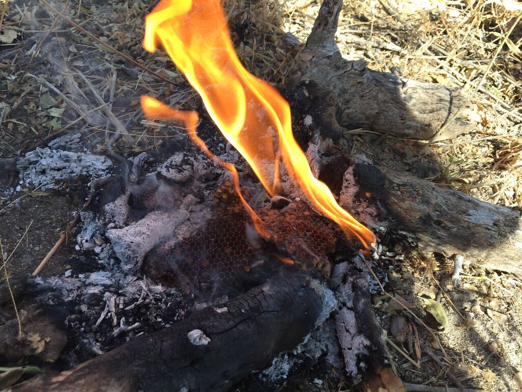 Spare honeycomb, tossed in the fire.