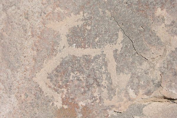 Petroglyph of a llama. (Wikimedia Commons)