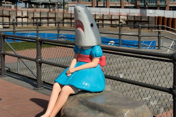 Shark Girl.