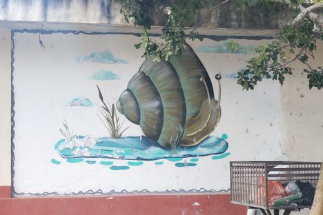 Caracol Chivita Murals
