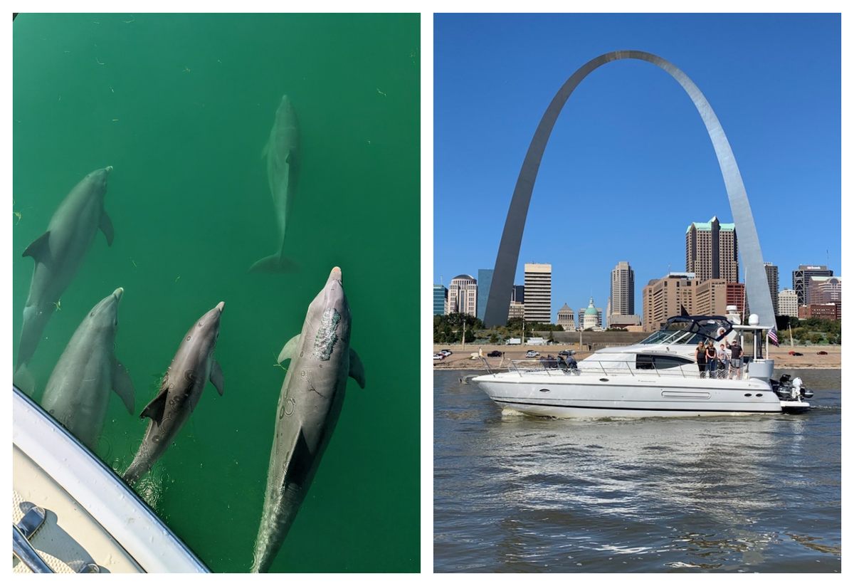 A pod of dolphins escorted Tim and Diane Vandersall near the Florida Keys (left); the Voce family on deck as they pass the Gateway Arch in St. Louis (right).