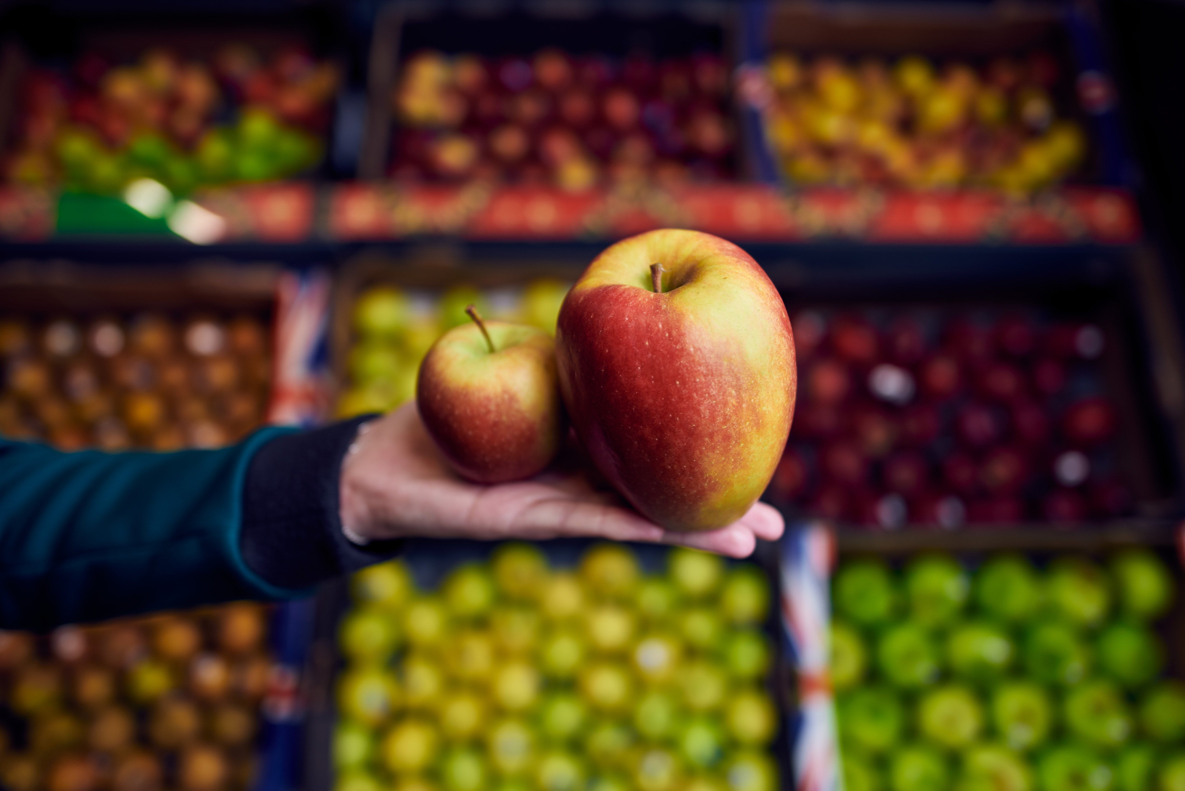 Small Granny Smith Apple - Each, Small/ 1 Count - Smith's Food and