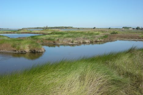 The Santa Giusta Lagoon