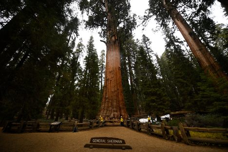 General Sherman