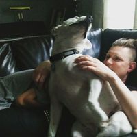 Profile image for queerthulhu