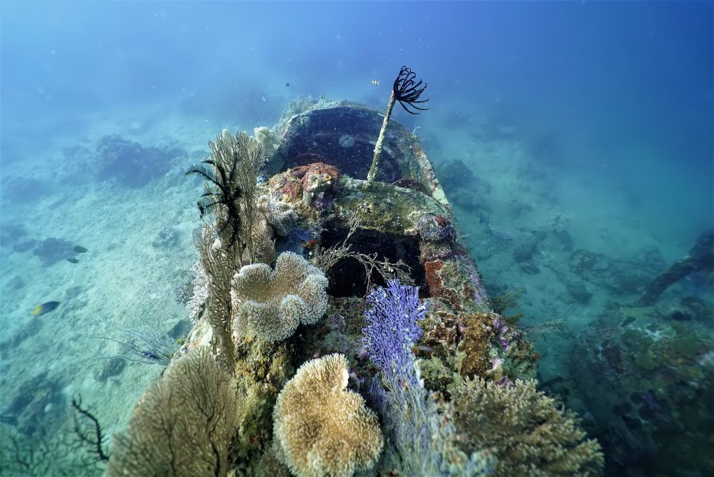 The cockpit of a B-25 bomber off the coast of Papua New Guinea.