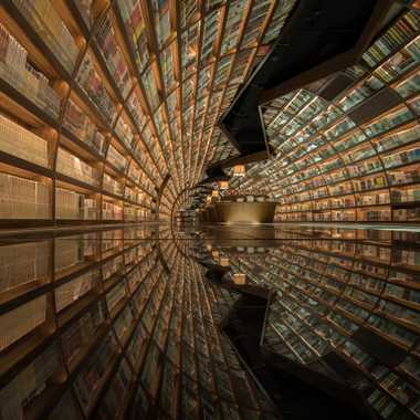 The tunnel of books.