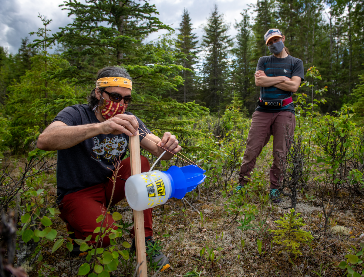 Casey Burns (left) shows Bureau of Land Management colleague Aliza Segal how to install a blue vane trap during a training session.