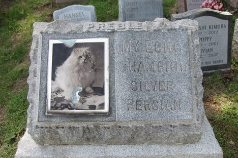 Pet headstone. 