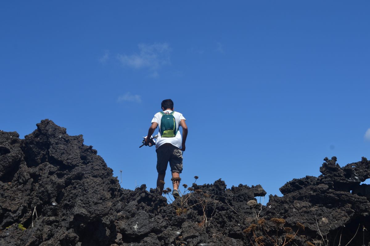 D'Emanuele systematically moves across the rocky terrain, from one shearwater nest to the next, notebook and homemade <em>corco</em> in hand.