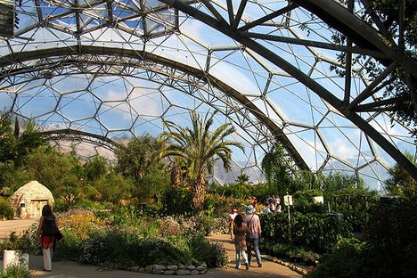 Inside the Mediterranean biome. (Creative Commons)