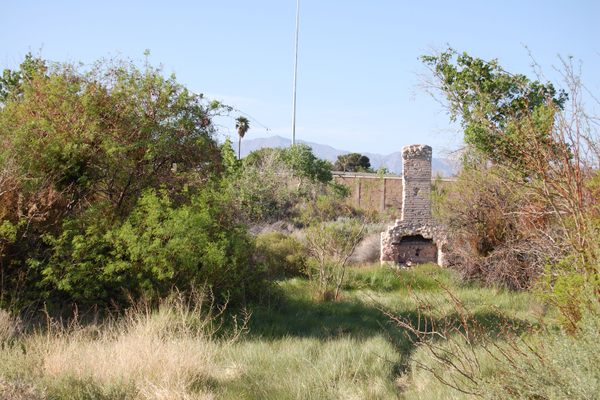A tiny remnant of the “vegas” for which Las Vegas was named.  The Boy Scout chimney is in the background.