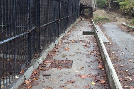 Notes From the Field: Abandoned LA Zoo