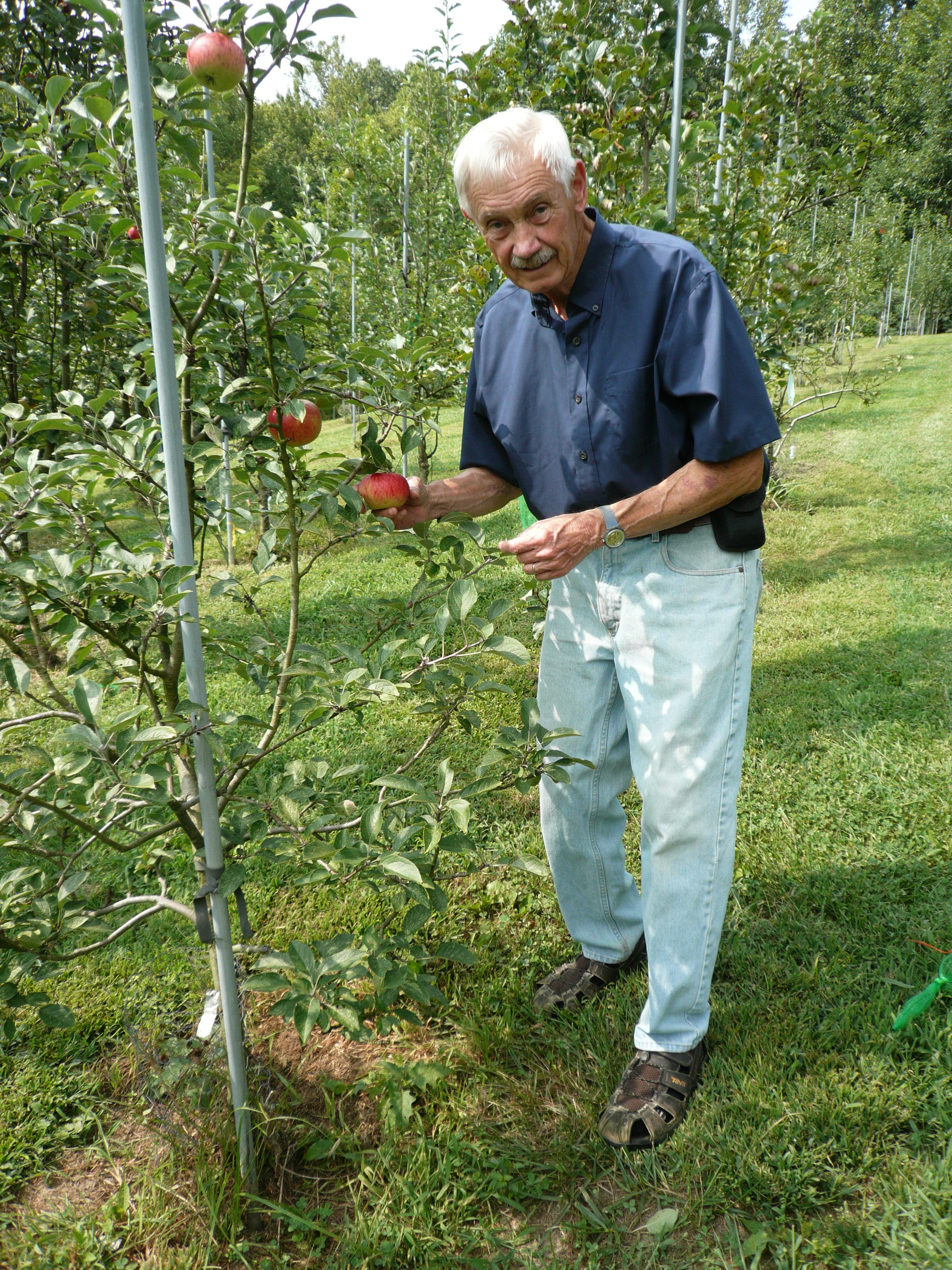 Meet the Appalachian Apple Hunter Who Rescued 1,000 'Lost