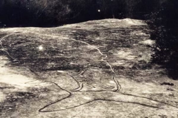 The whale carving at Balls Head, Waverton.