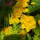 acrig profile photo