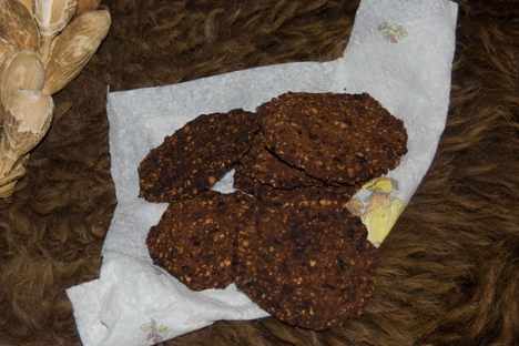Pemmican was made with bison meat and fat, along with choke cherries.
