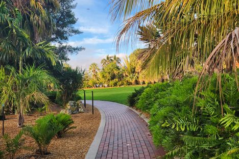 Gizella Kopsick Palm Arboretum 