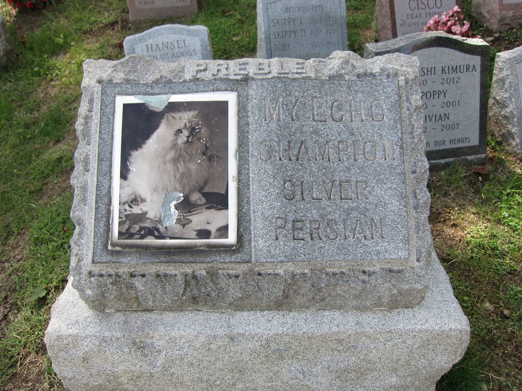 Pet store cemetery tombstones