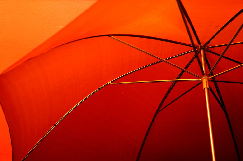 No Drips! Inside-Out Umbrella Design Transforms Into a Handbag